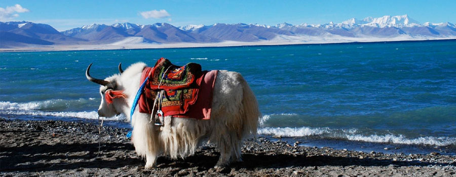 Kailash - Manasarovar - Lhasa